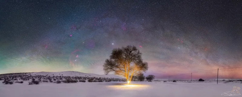 极寒雪原，星河满天